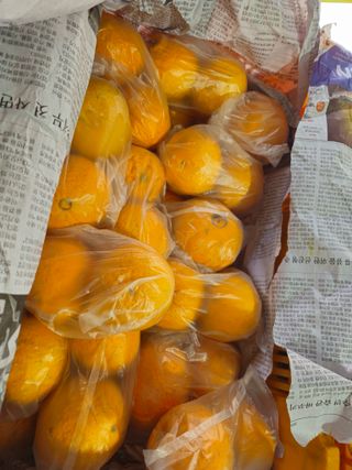 새달귤농장님의 작성글 사진