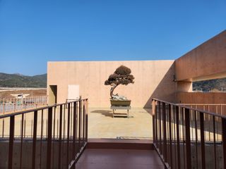 꿀복이농장님의 자유주제 · 자유게시판 작성글 사진