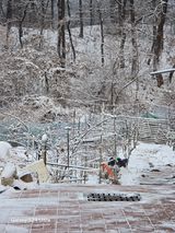 팜모닝 자유주제·자유게시판 게시글 이미지