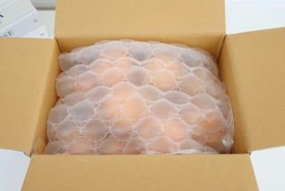 새달귤농장님의 작성글 사진