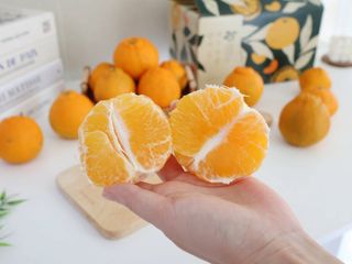 새달귤농장님의 작성글 사진