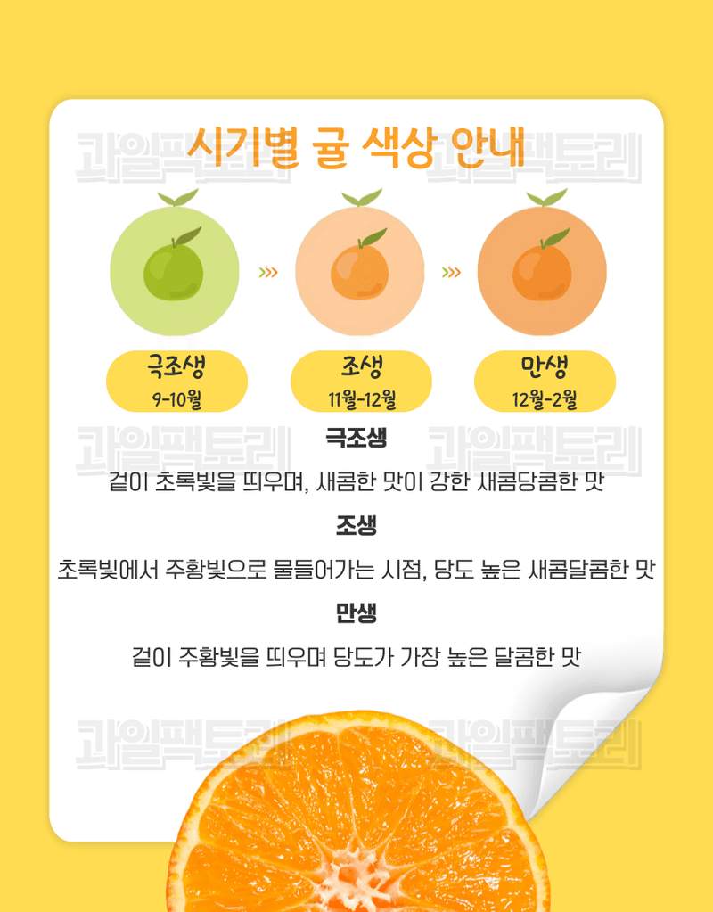 과일팩토리님의 장터 판매 상품 [[한정판매] 제주산 귤 조생감귤 고당도 로얄과/소과 한정특가] 첨부 사진