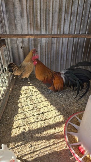 김문규님의 작성글 사진