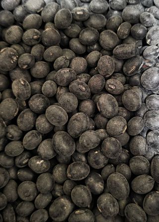 이동준님의 작성글 사진