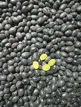 팜모닝 자유주제·자유게시판 게시글 이미지