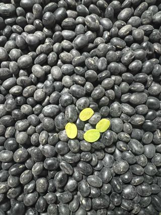 강원도김지원님의 자유주제 · 자유게시판 작성글 사진