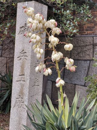 행복한일상님의 자유주제 · 자유게시판 작성글 사진