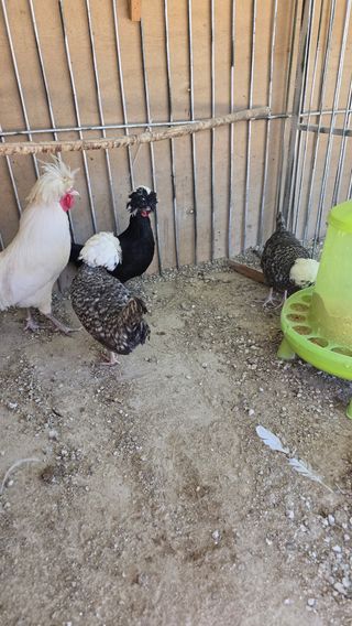 김문규님의 작성글 사진