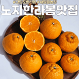 팜모닝 · 게시글 이미지