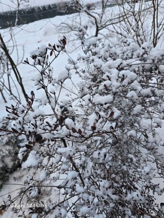 소병찬님의 자유주제 · 자유게시판 작성글 사진