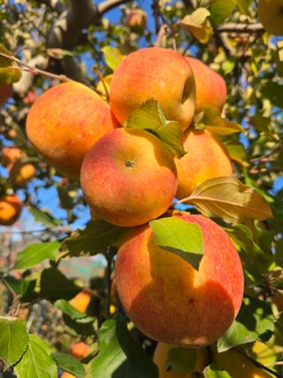 최동구님의 작성글 사진