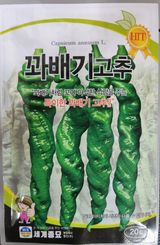 팜모닝 · 게시글 이미지