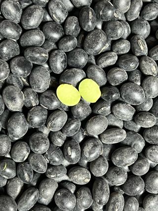 강원도김지원님의 자유주제 · 자유게시판 작성글 사진