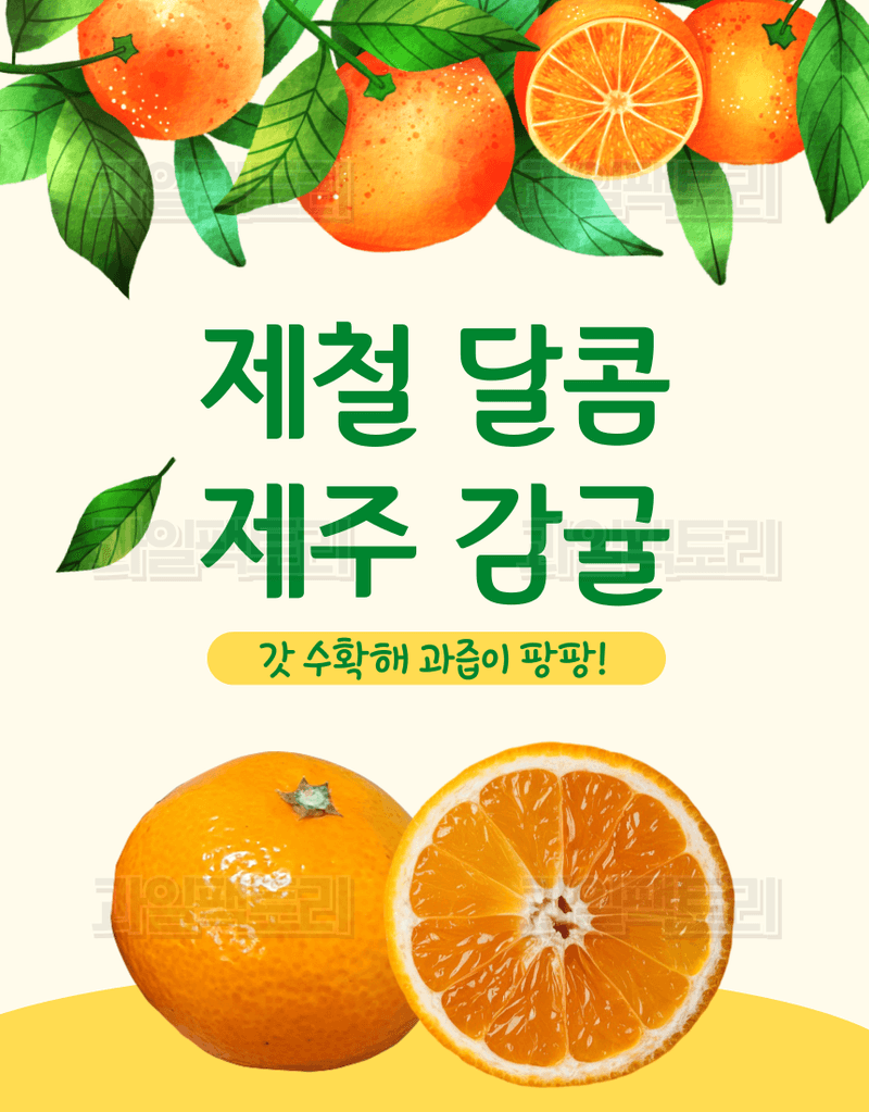 과일팩토리님의 장터 판매 상품 [[한정판매] 제주산 귤 조생감귤 고당도 로얄과/소과 한정특가] 첨부 사진