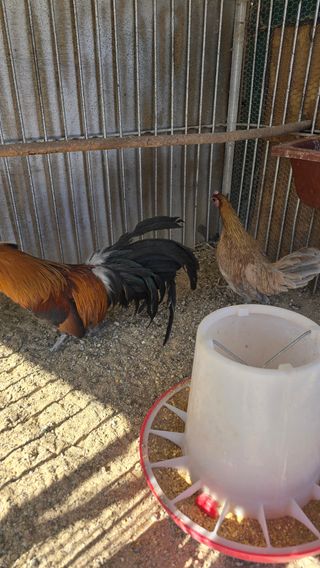 김문규님의 작성글 사진