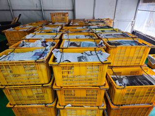 새달귤농장님의 작성글 사진