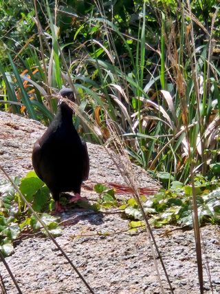 김상진님의 자유주제 · 자유게시판 작성글 사진