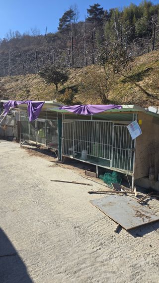 김문규님의 작성글 사진