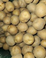 팜모닝 감자·자유게시판 게시글 이미지