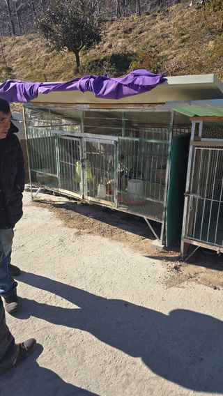 김문규님의 작성글 사진