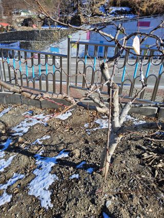 김용대님의 자유주제 · 자유게시판 작성글 사진