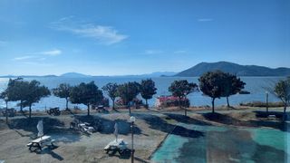 연향님의 자유주제 · 자유게시판 작성글 사진