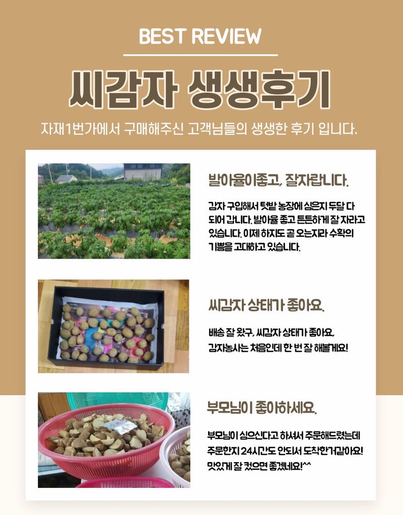 플랜큐님의 장터 판매 상품 [강원도 오대산 정품 수미 두백 씨감자 4kg/10kg/20kg] 첨부 사진