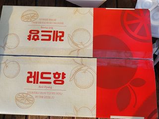 제주부자팜님의 작성글 사진