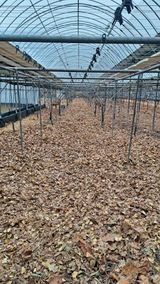 팜모닝 자유주제·자유게시판 게시글 이미지