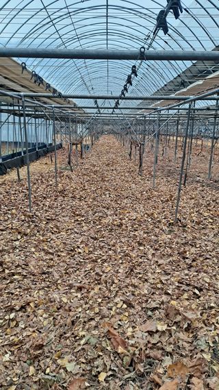 모포리흰개 님의 자유주제 · 자유게시판 작성글 사진