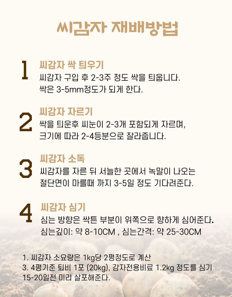 플랜큐님의 장터 판매 상품 [강원도 오대산 정품 수미 두백 씨감자 4kg/10kg/20kg] 첨부 사진