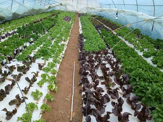 김성식님의 자유주제 · 자유게시판 작성글 사진