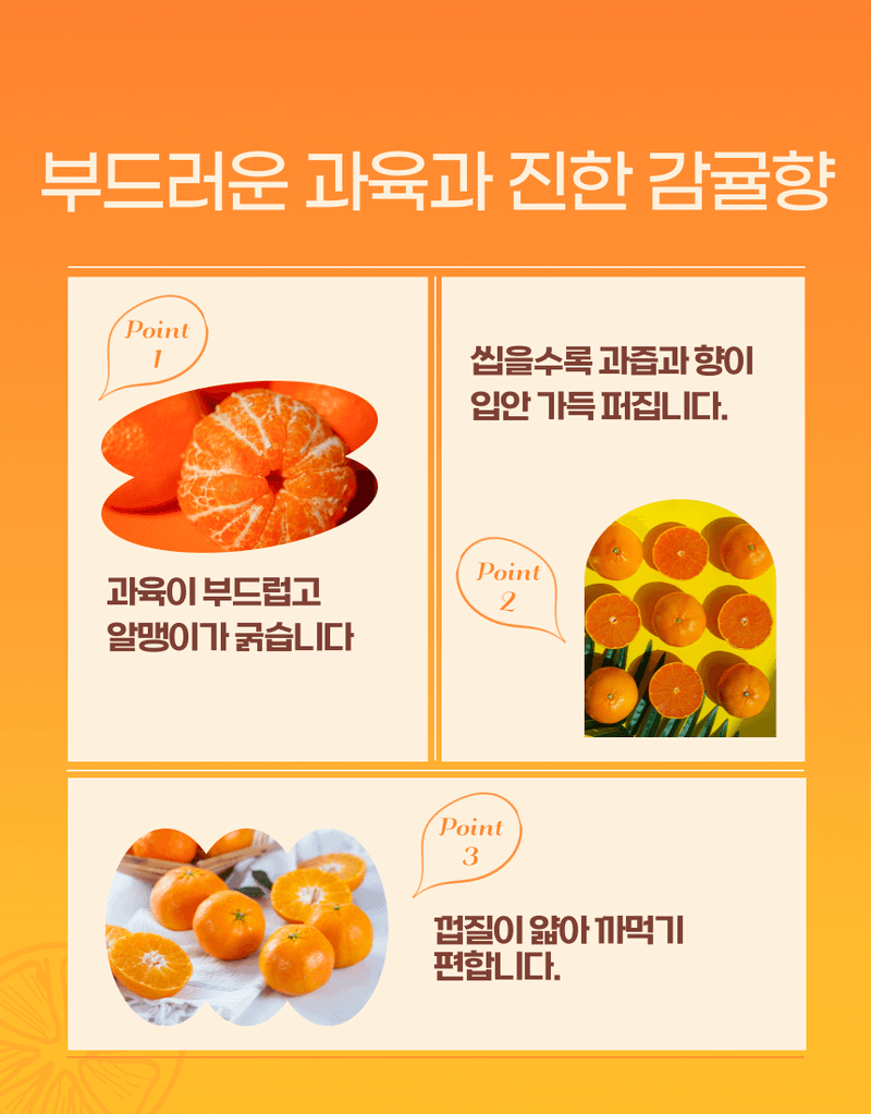 과일팩토리님의 장터 판매 상품 [[당도보장] 고당도 제주 하우스 가정용 레드향 1.5kg/2.5kg/4.5kg] 첨부 사진