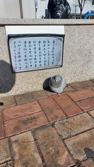 연향님의 자유주제 · 자유게시판 작성글 사진