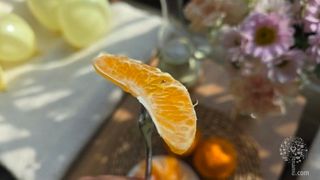 새달귤농장님의 자유주제 · 자유게시판 작성글 사진