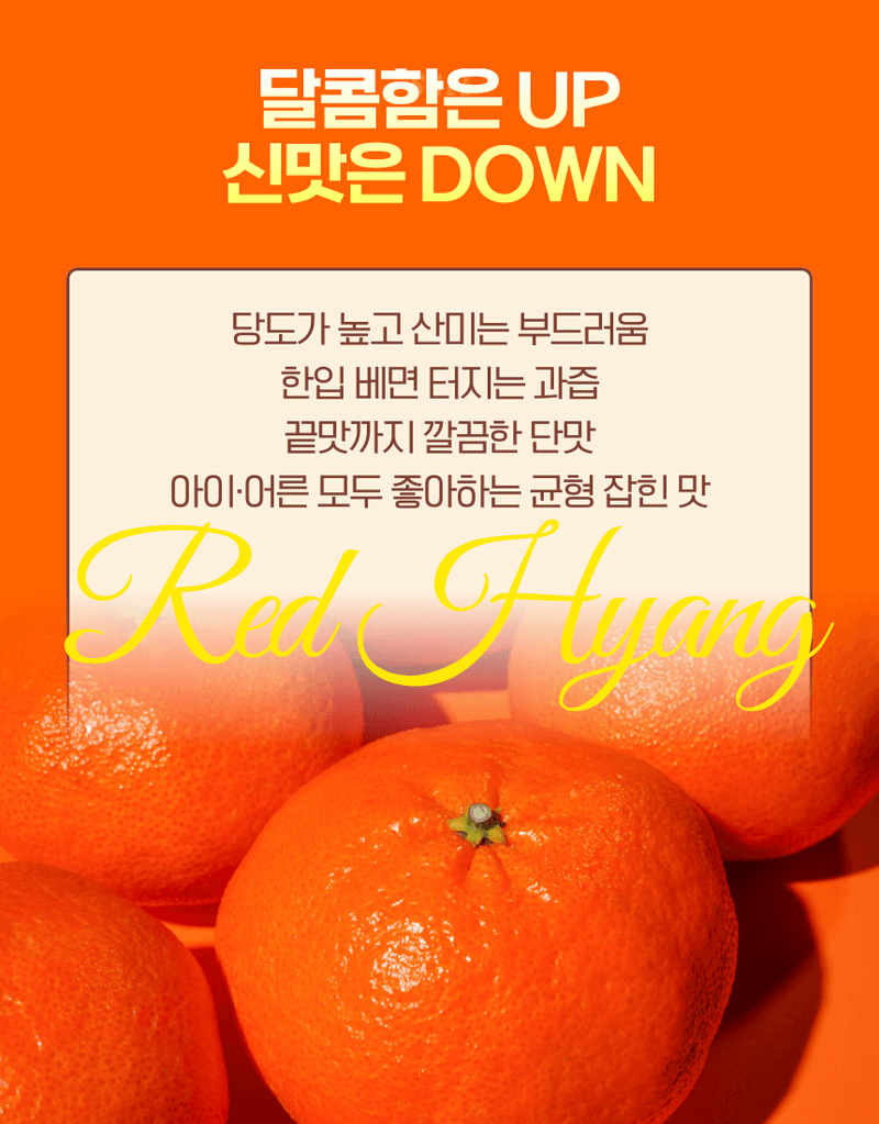 과일팩토리님의 장터 판매 상품 [[당도보장] 고당도 제주 하우스 가정용 레드향 1.5kg/2.5kg/4.5kg] 첨부 사진