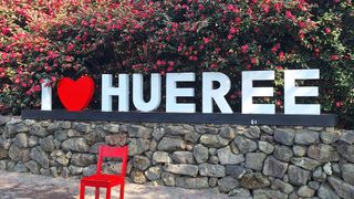 양동하님의 자유주제 · 자유게시판 작성글 사진