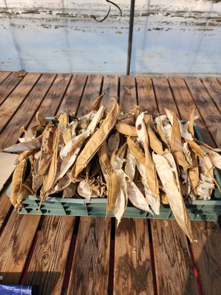 제주부자팜님의 자유주제 · 자유게시판 작성글 사진