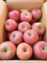 팜모닝 · 게시글 이미지