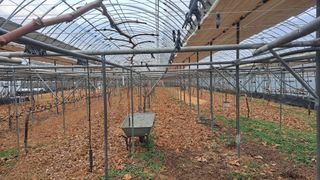 모포리흰개 님의 자유주제 · 자유게시판 작성글 사진