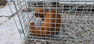 최연재님의 자유주제 · 자유게시판 작성글 사진