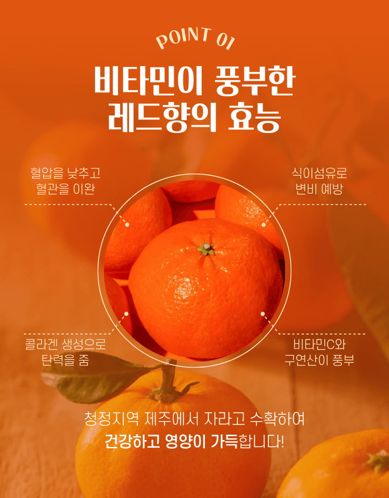 과일팩토리님의 장터 판매 상품 [[실속형 레드향] 모양보다 맛 제주산 산지직송 레드향] 첨부 사진