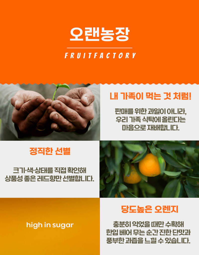 과일팩토리님의 장터 판매 상품 [[당도보장] 고당도 제주 하우스 가정용 레드향 1.5kg/2.5kg/4.5kg] 첨부 사진