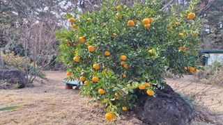 양동하님의 자유주제 · 자유게시판 작성글 사진