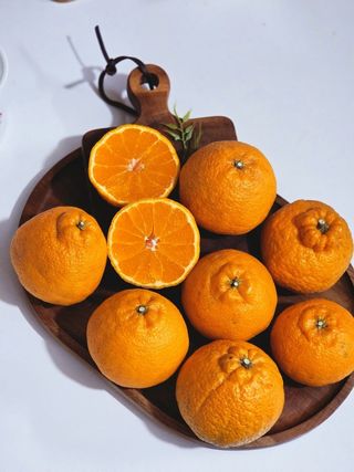 새달귤농장님의 자유주제 · 자유게시판 작성글 사진