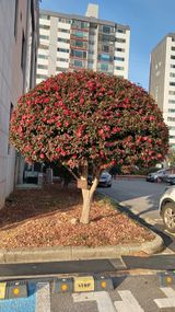 팜모닝 자유주제·자유게시판 게시글 이미지