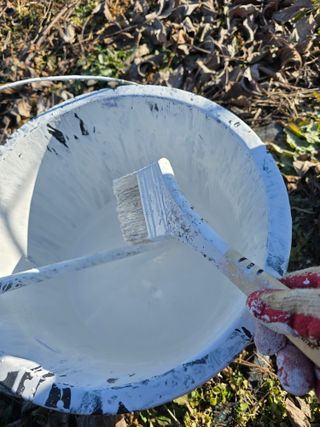 형제들농원님의 자유주제 · 자유게시판 작성글 사진