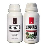 팜모닝 · 게시글 이미지