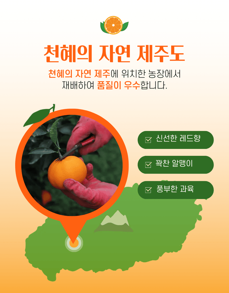 과일팩토리님의 장터 판매 상품 [[실속형 레드향] 모양보다 맛 제주산 산지직송 레드향] 첨부 사진