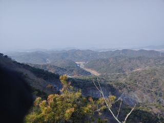 이현상님의 자유주제 · 자유게시판 작성글 사진